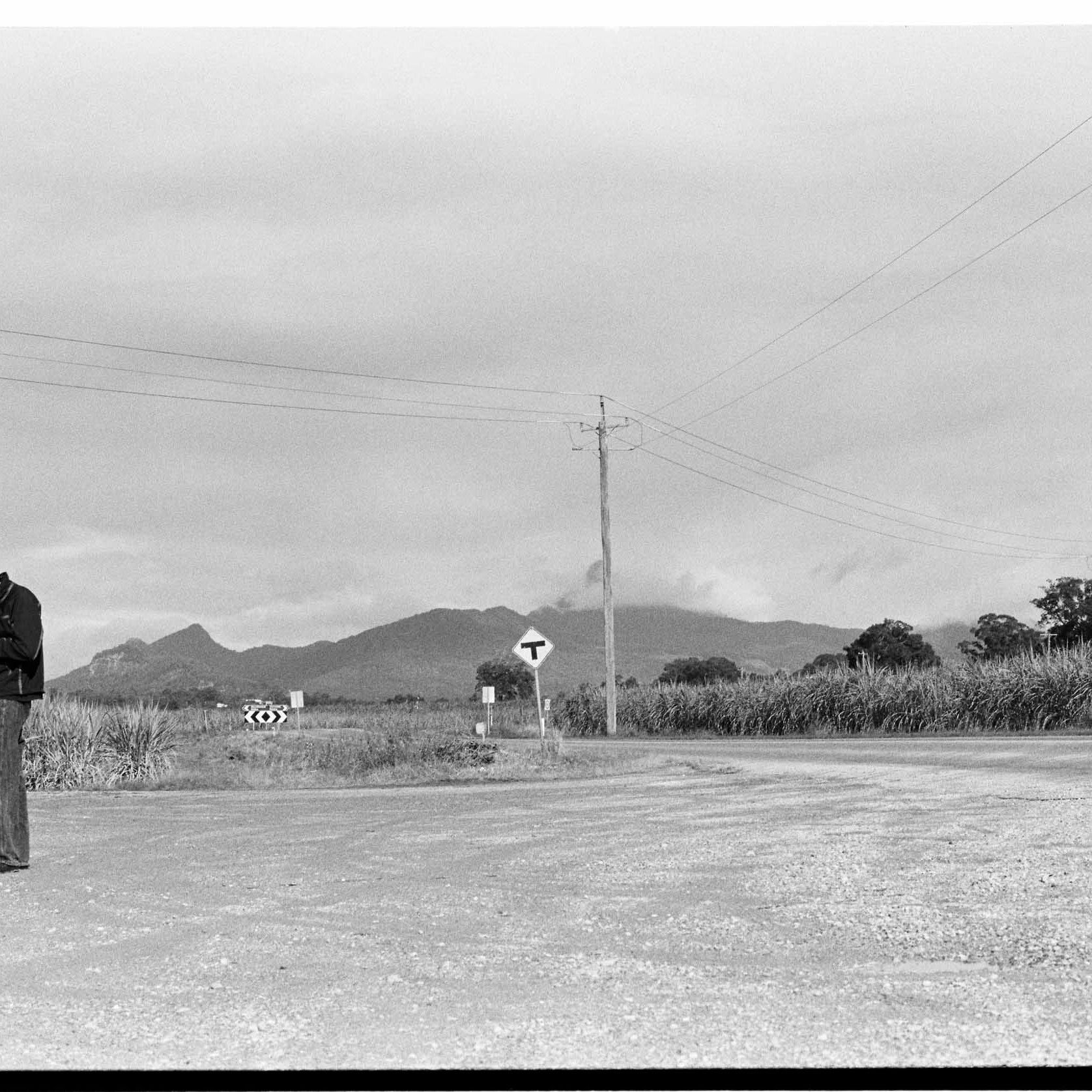 Photo Diary: Looking Tapes