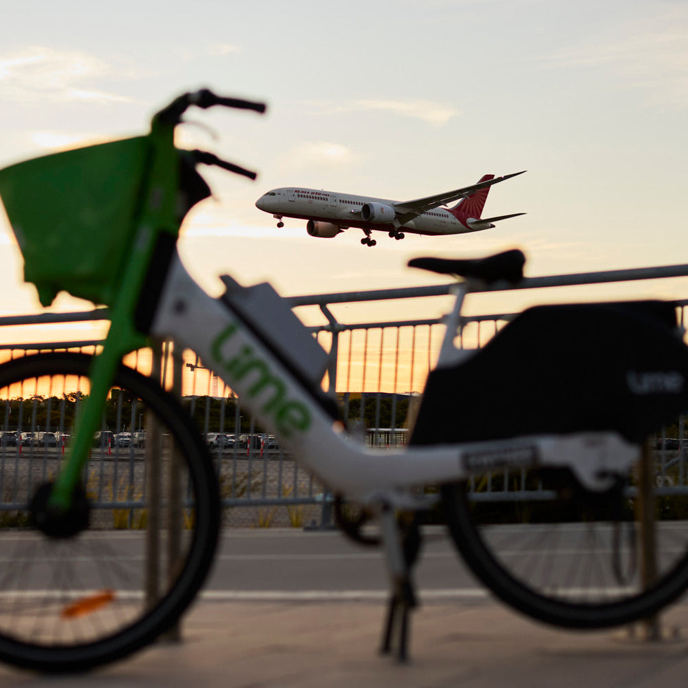 Exhibition: Everybody Limes